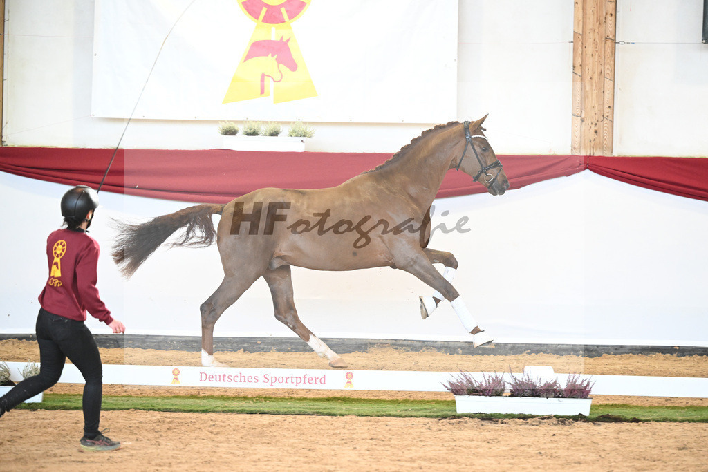 Kat-Nr. 53 Va Bene x Vitalis_Winklmaier_47241814 | hf-fotografie - Realizzato con Pictrs.com