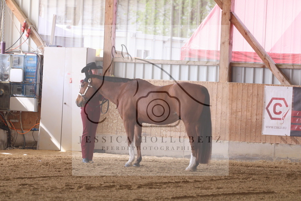 IMG_7021 | jessicahollubetz_pferdephotographie - Realisiert mit Pictrs.com
