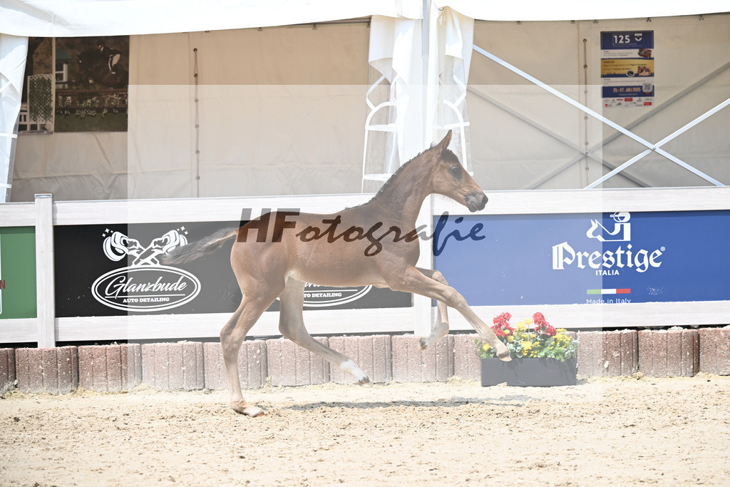 Vitalos x Lord Leopold_SF_Strohmeier_12250913 | hf-fotografie - Realisiert mit Pictrs.com