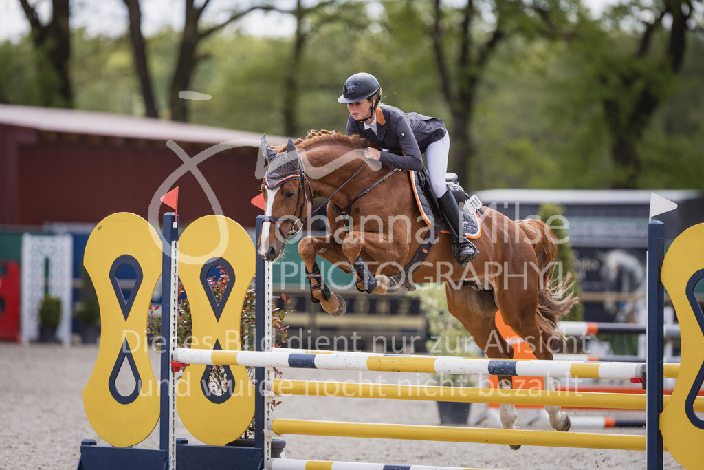 230516_Mühlen_03SprPf-A-353 | Deine schönsten Turniermomente als professionelle Fotos! Entdecke hochwertige Pferdesport-Fotografie im Online-Shop. Jetzt Fotos finden & bestellen!