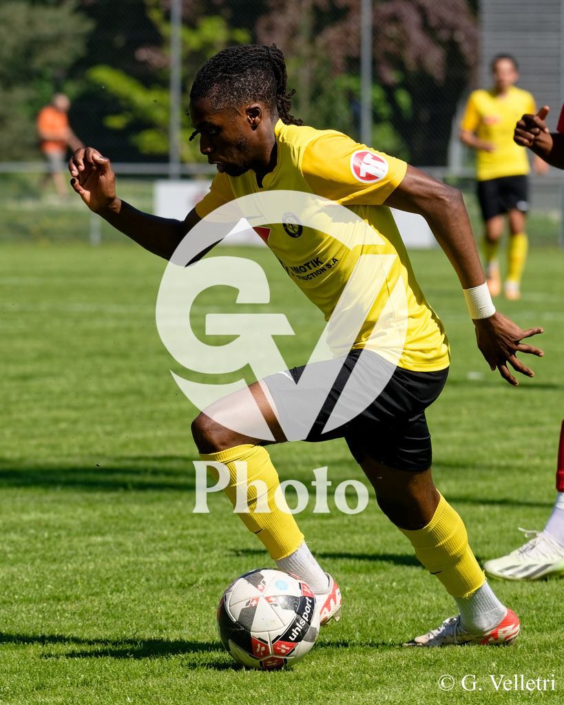 DSC_8320 | Velletri Photo