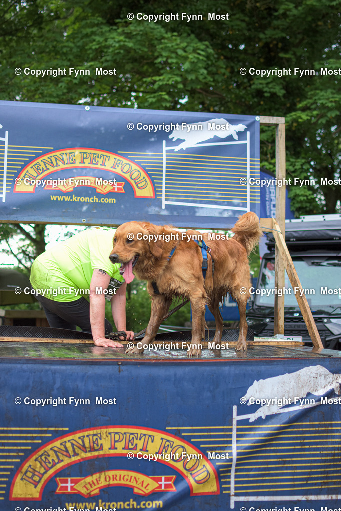 DSC_0413-3 | Hallo und herzlich Willkommen auf meiner Shop-Seite Fynn Most.

Ich wünsche Dir viel Spaß beim stöbern durch die Bilder, wenn Du Fragen hast oder Bilder vermisst, kannst du mir gerne eine Nachricht schreiben. - Realisiert mit Pictrs.com