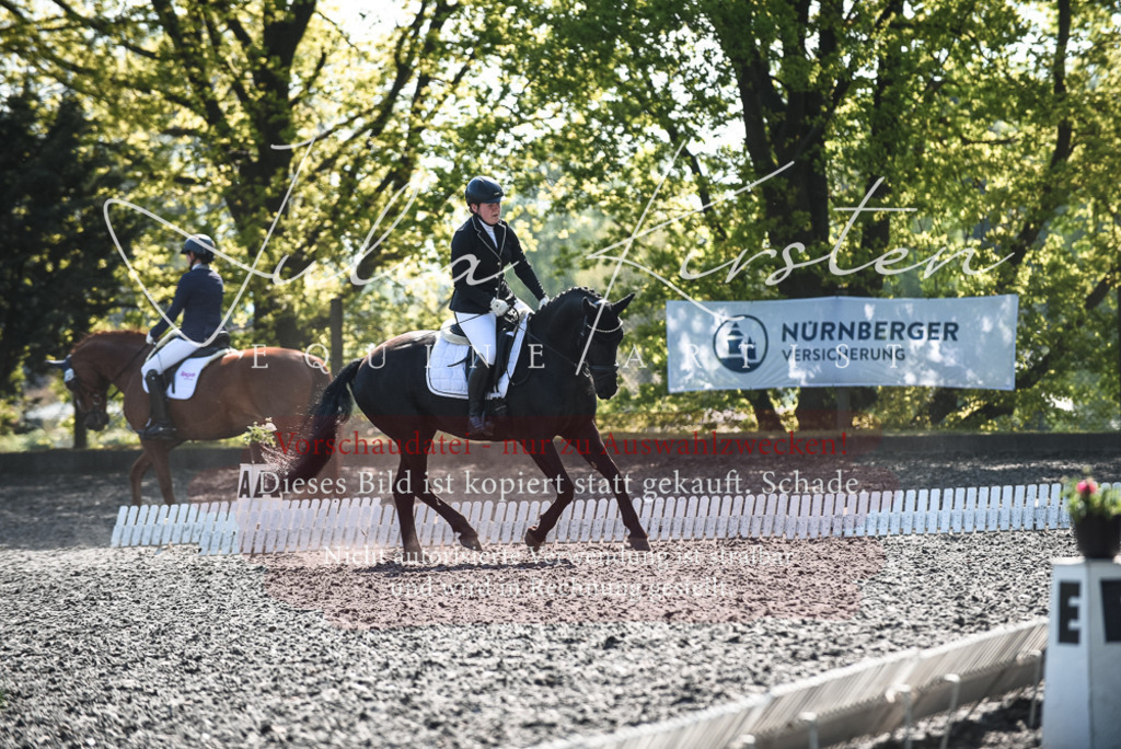 DSC_8821 | Pferde- und Turnierfotografie in Westsachsen. Pferdeportraits, Auftragszeichnungen und intuitive Kunst.