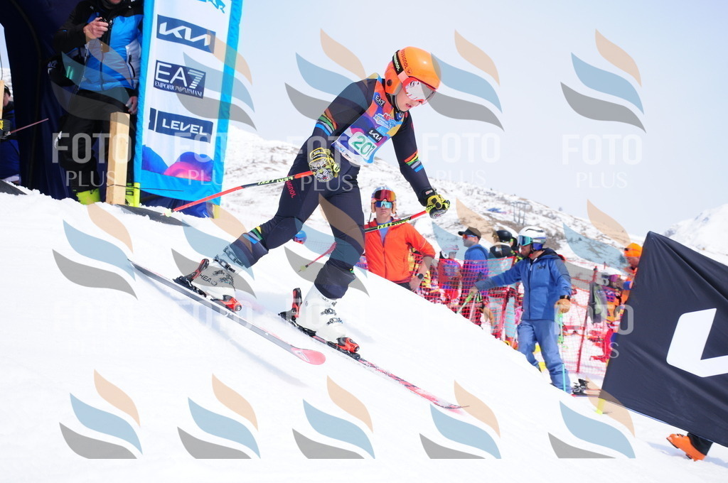 DSC_1863 | holidayphoto