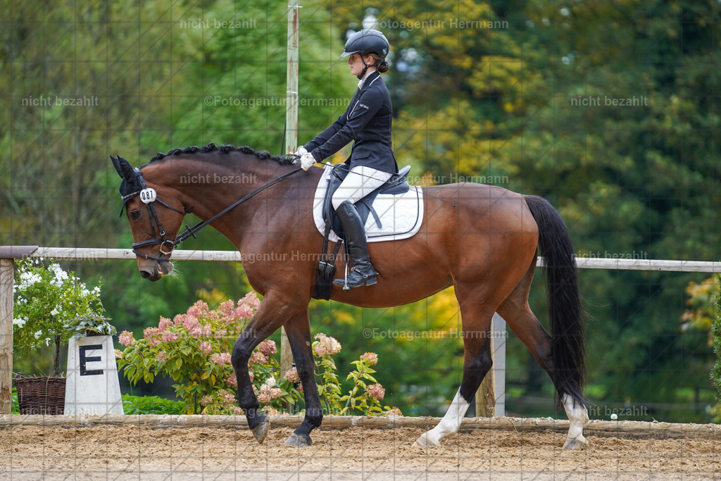 20221008-FAH01619 | Diessen am Ammersee, 2022, Dressur- und Springturnier, Reitsportbilder, Turnierfotografen Bayern, Pferdefotografen, Fotoagentur Herrmann, Turnierbilder