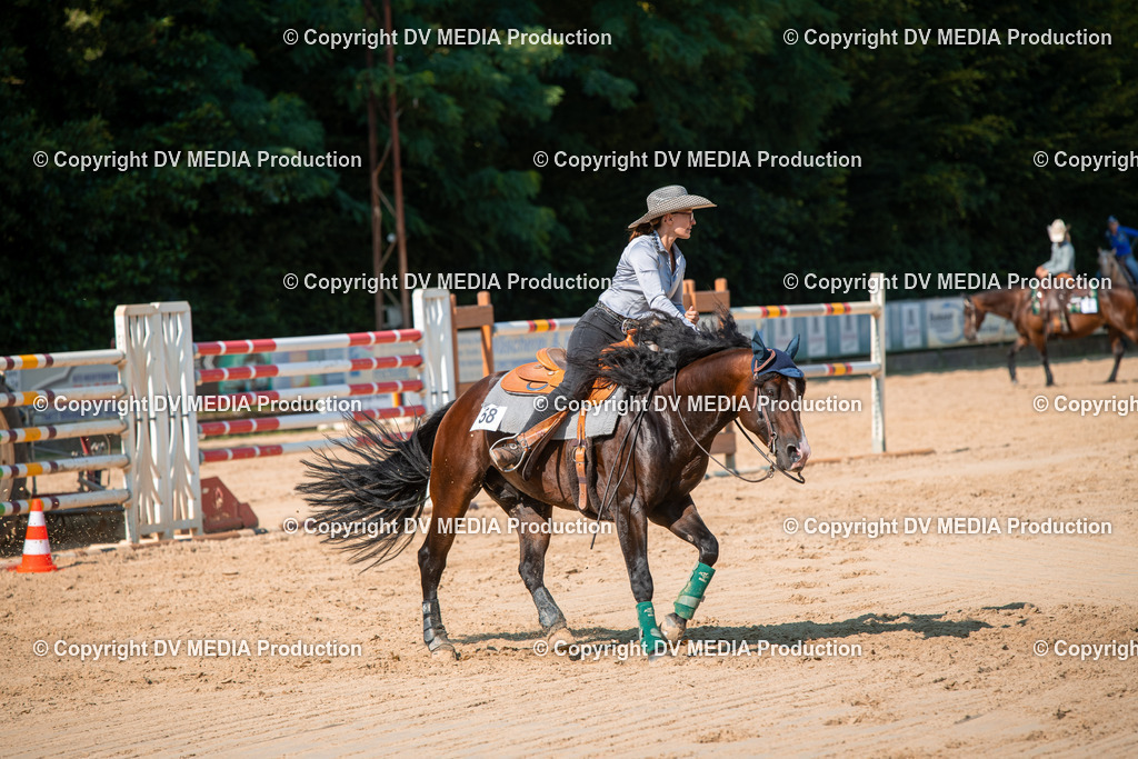 ZS2_8784 | dv-media-shop - Realisiert mit Pictrs.com