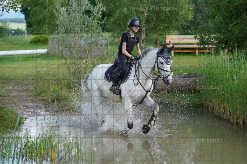 20240622-FAH08113 | Turnierfotografen Bayern, Reitsportbilder aus dem Geländekurs mit Felix Etzel auf dem Gut Waitzacker 2024