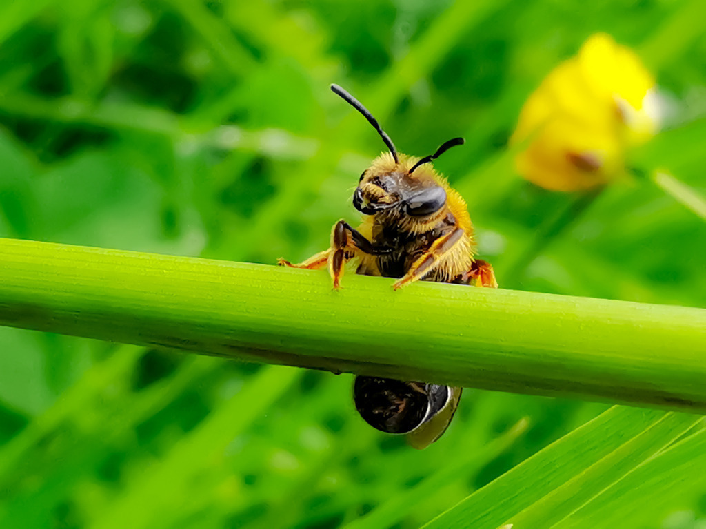 PSX_20230515_223234 | mtkfoto_ - Realisiert mit Pictrs.com