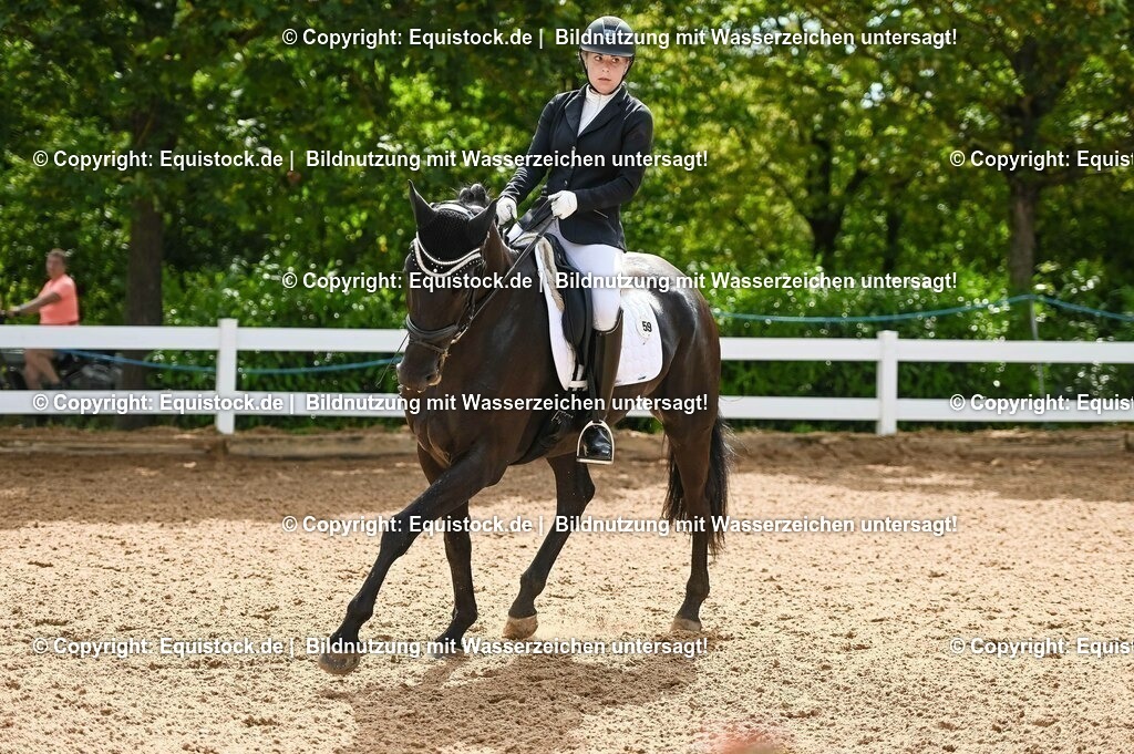 20230715_07_Dressurpferdeprfg. Kl.L_0147 | equistock