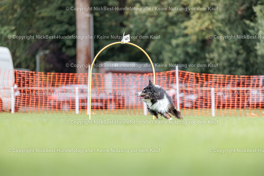 BSP Hoopers-H3-2026-Nickbest-Hundefotografie-TuS Komet Arsten e.V.-2342 | Dein Hund! Dein Moment! Deine Erinnerungen! Hundefotografie in Bremen Blumenthal. Ich fange die besonderen Momente deines Vierbeiners ein – ob Indoor mit Blitzanlage oder in der freien Natur. Sicher dir dein Moment und dein Termin für eure Erinnerungen.