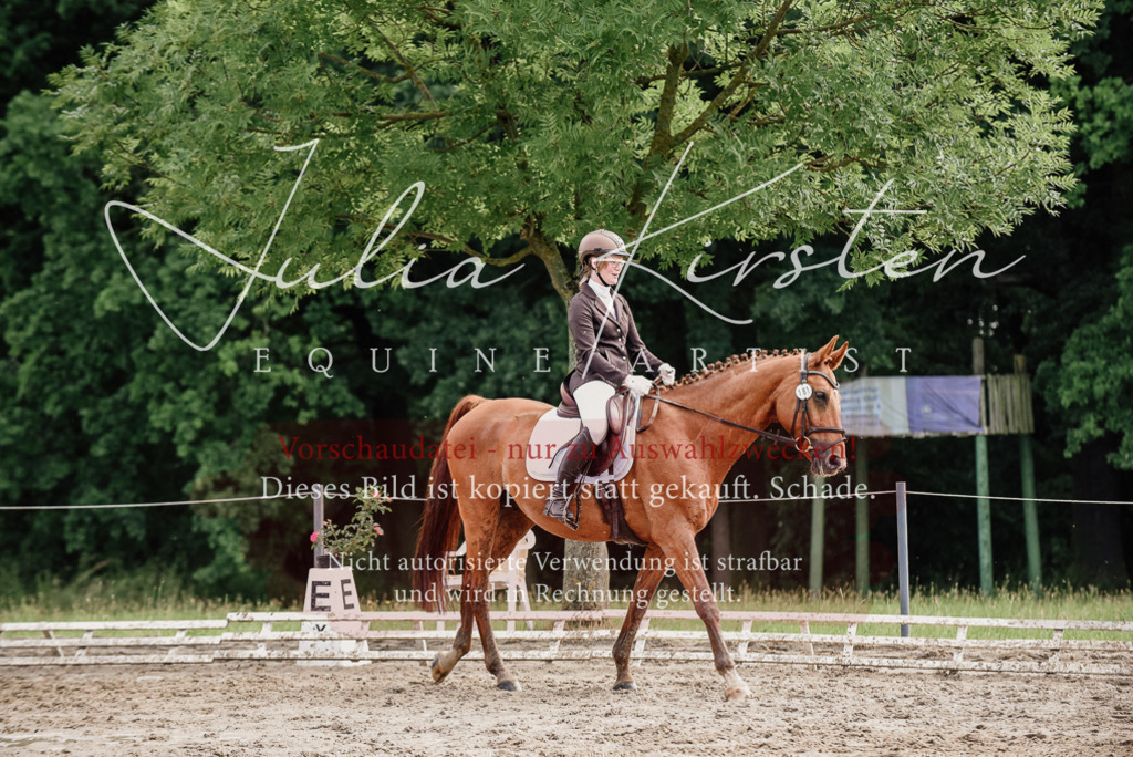 DSC_9682 | Pferde- und Turnierfotografie in Westsachsen. Pferdeportraits, Auftragszeichnungen und intuitive Kunst.