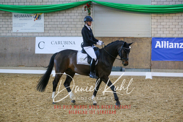 IMG_2855 | Turnierfotos kaufen im Webshop von Daniel Kuhl Photography – entdecke professionelle Reitsportfotos aus Turnieren & Events. Hochwertige Turnierbilder online bestellen & sichern. Jetzt Fotos von Reitsportturnieren kaufen!