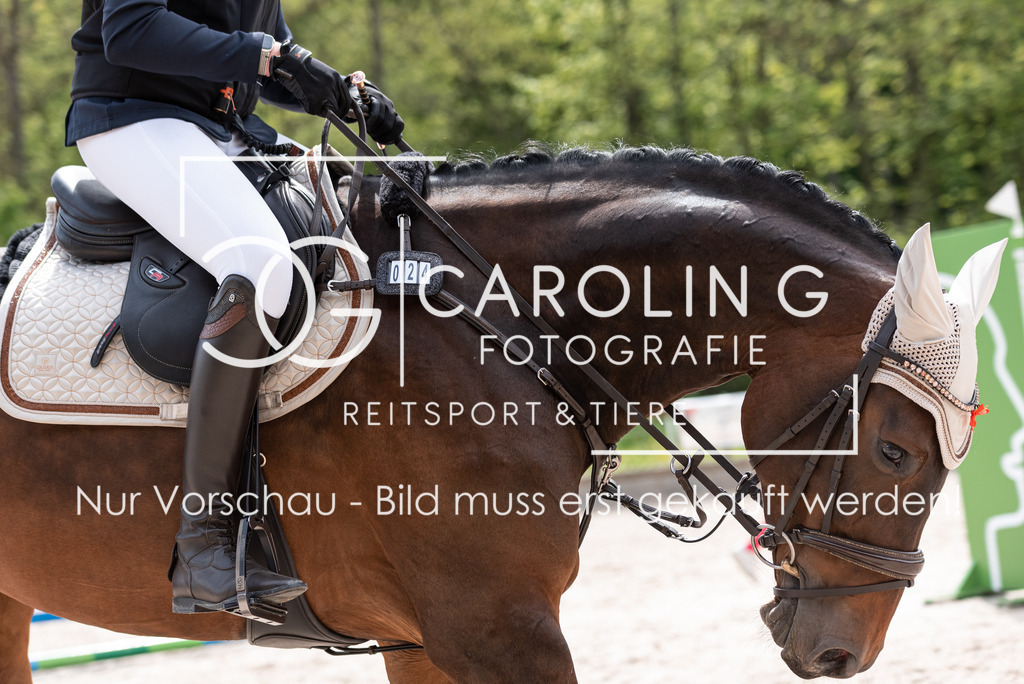 DSC_5312 | Turnierfotografin Carolin Gieschke, Turnierfotografie Carolin G Fotografie, Turnierfotos Kirchheim/Teck, Esslingen, Stuttgart, Bodenseekreis