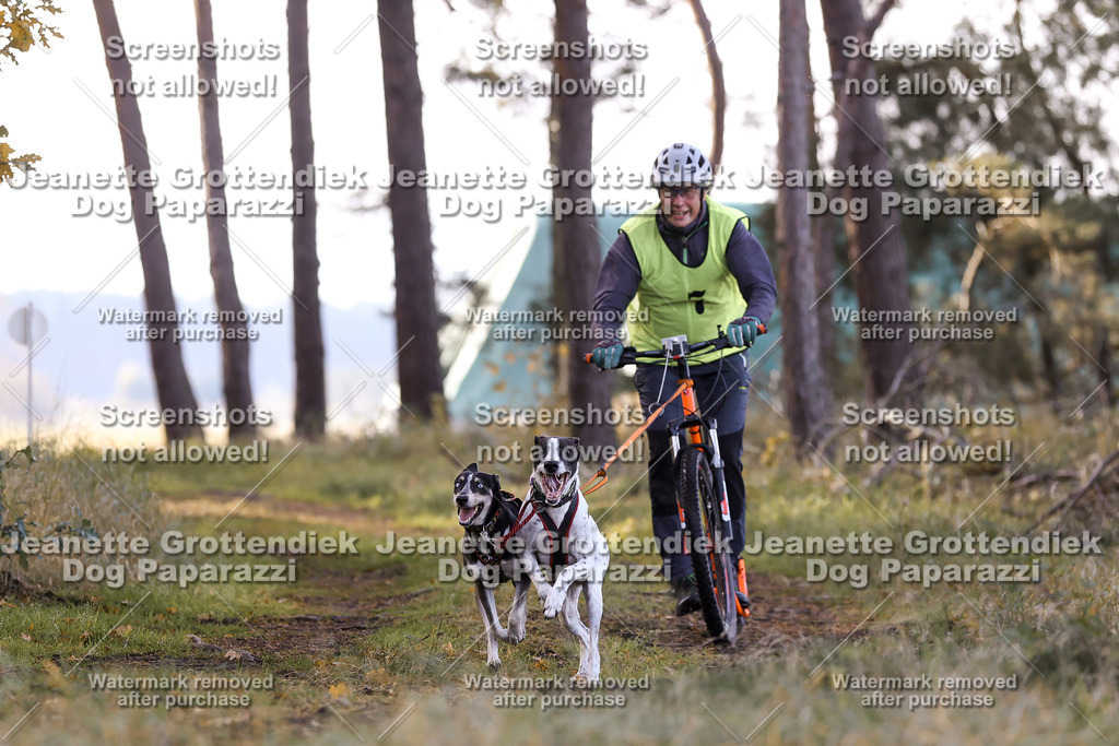 Dog Paparazzi - Elsholz 25 -53 | Dog Paparazzi Jeanette Grottendiek Fotografie & Videografie - Realisiert mit Pictrs.com