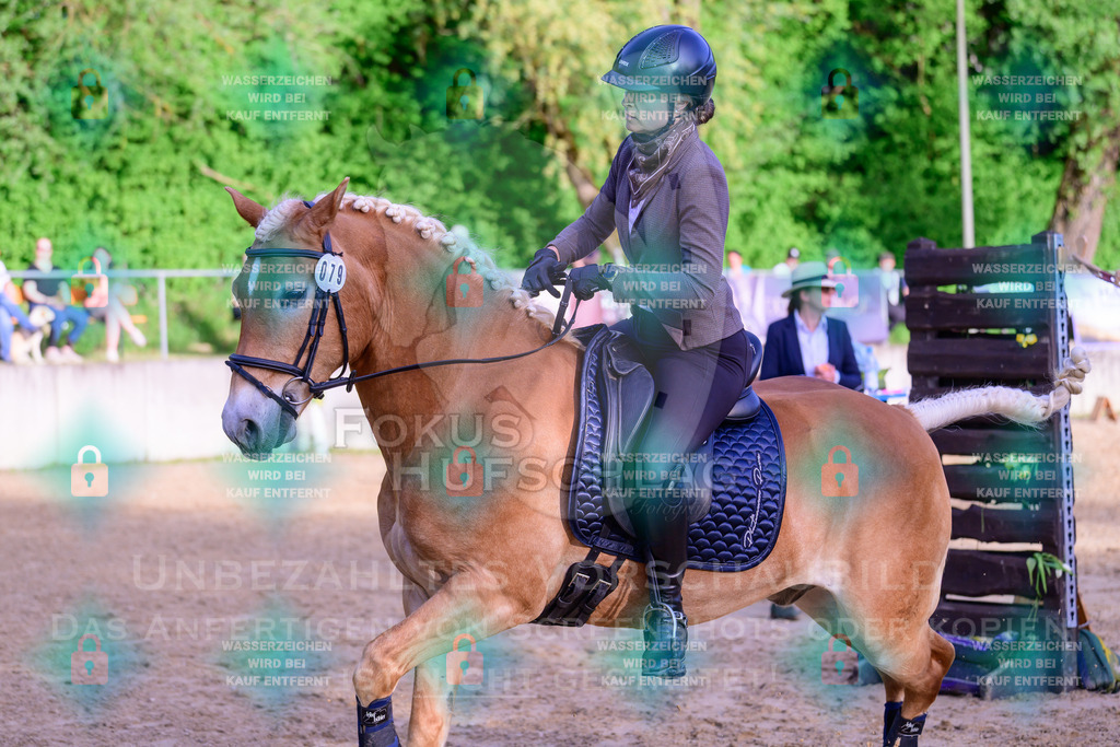 02052026-Giesenbach-03-Speedtrail-0833 | Fokus Hufschlag Fotografie - Realisiert mit Pictrs.com