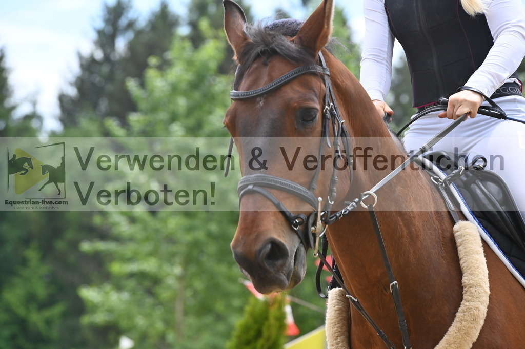 DSC_8427 | equestrian-live-com