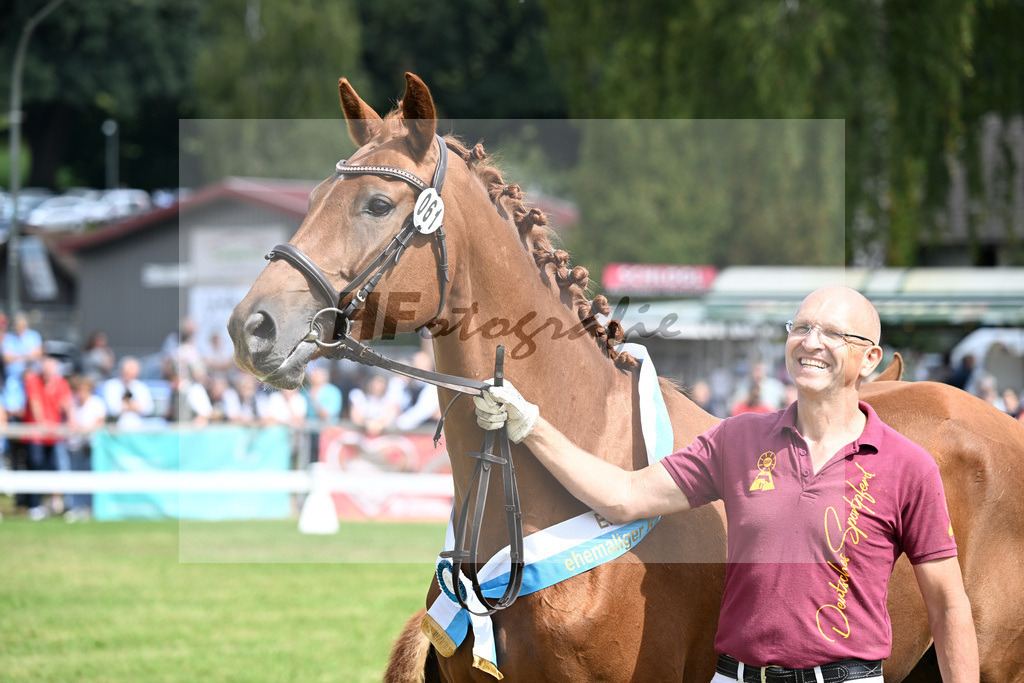 Kat-Nr. 61 Blue Eyes v. Vitalis_Lechl_30251377 | hf-fotografie - Realizzato con Pictrs.com