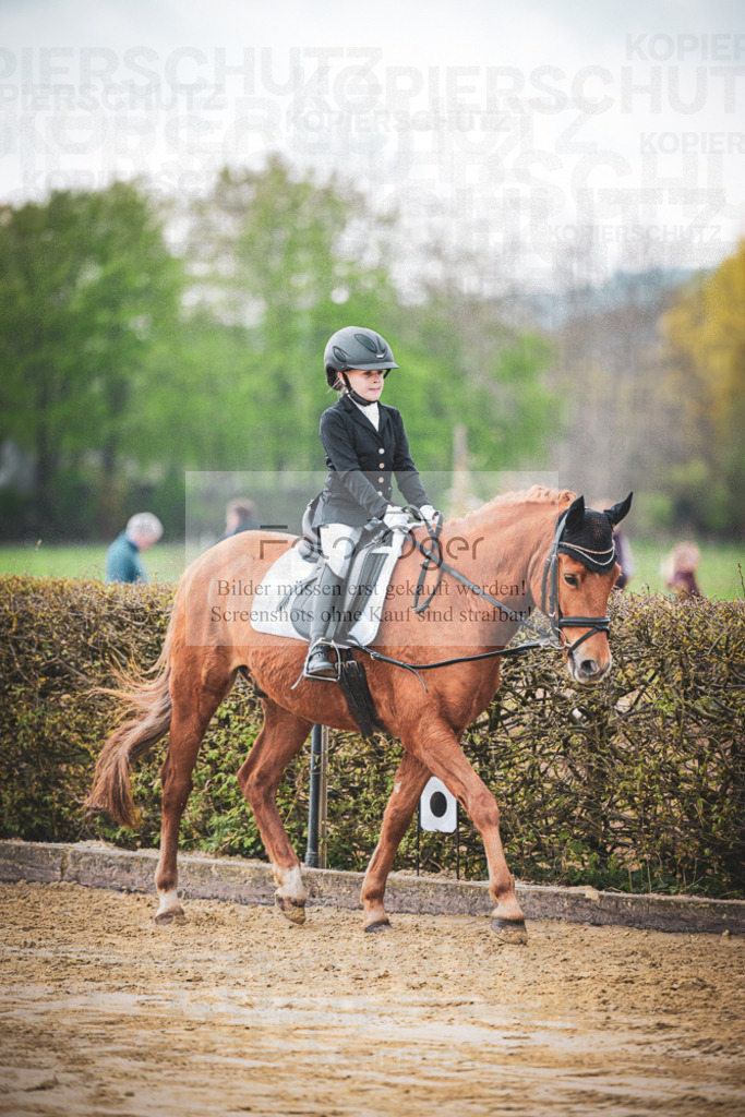 DOS_5401 | Entdecke hochwertige Reitturnierfotos von Foto Oger. Professionell, emotional und authentisch – jetzt Lieblingsmomente im Shop bestellen.Deutschlandweite Turnierfotografie. - Realisiert mit Pictrs.com