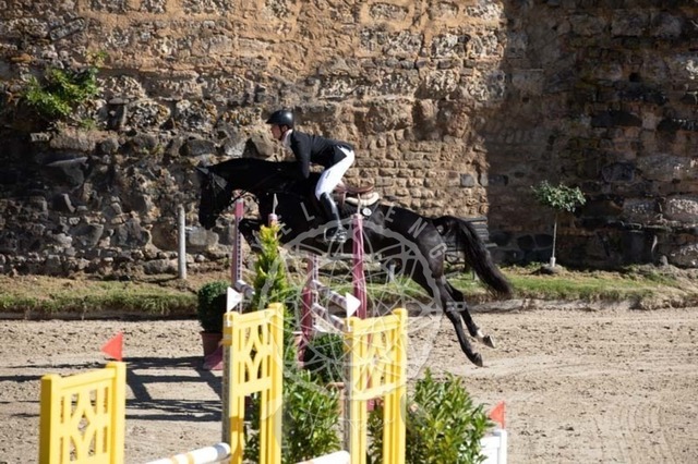 2B4A0292 | pixelfaenger - Realisiert mit Pictrs.com