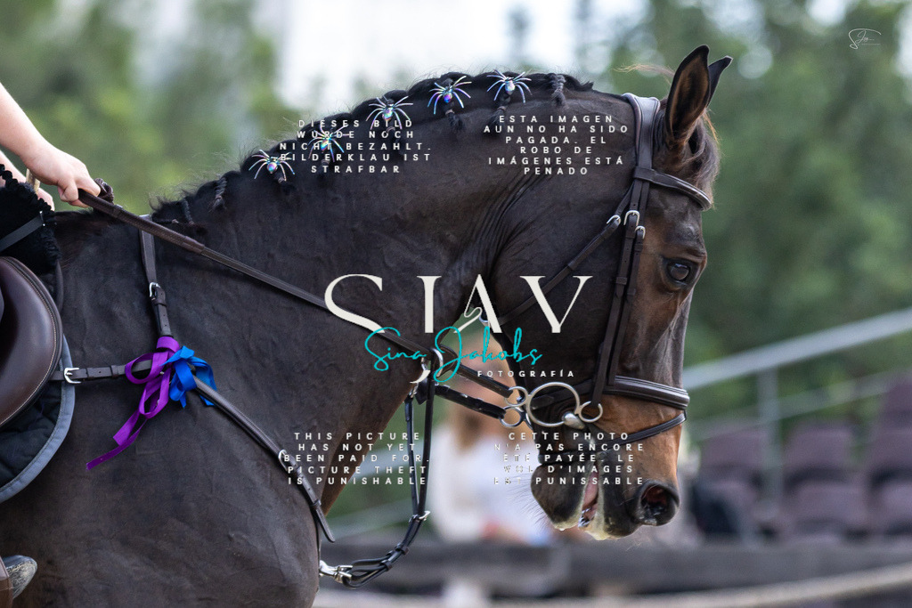 IMG_3268 | s-jay-photography - Realisiert mit Pictrs.com