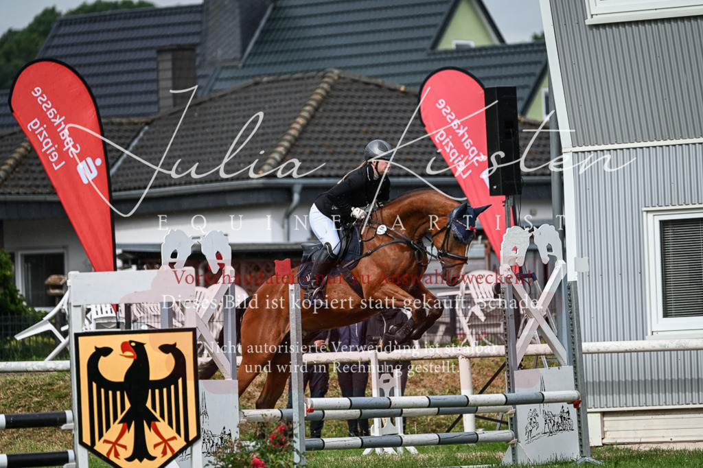 DSC_8316 | Pferde- und Turnierfotografie in Westsachsen. Pferdeportraits, Auftragszeichnungen und intuitive Kunst.