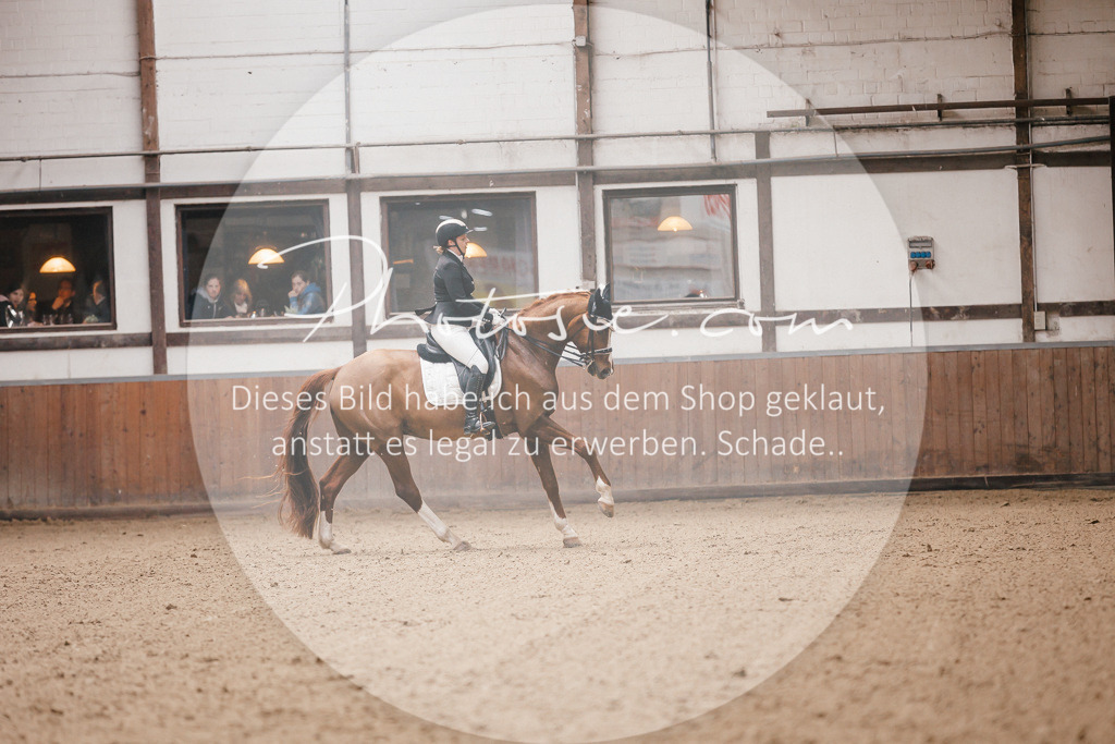 3I6A8943 | Stimmungsvolle Portraits und Reitsportfotografie im Ruhrgebiet und im Münsterland.

Pferdefotografie, Hundefotografie, Tierfotografie, Reportagen, Portraits von Tier und Mensch, Turnierfotografie in Bochum, Recklinghausen, Marl, Haltern am See, Dülmen.. - Realisiert mit Pictrs.com