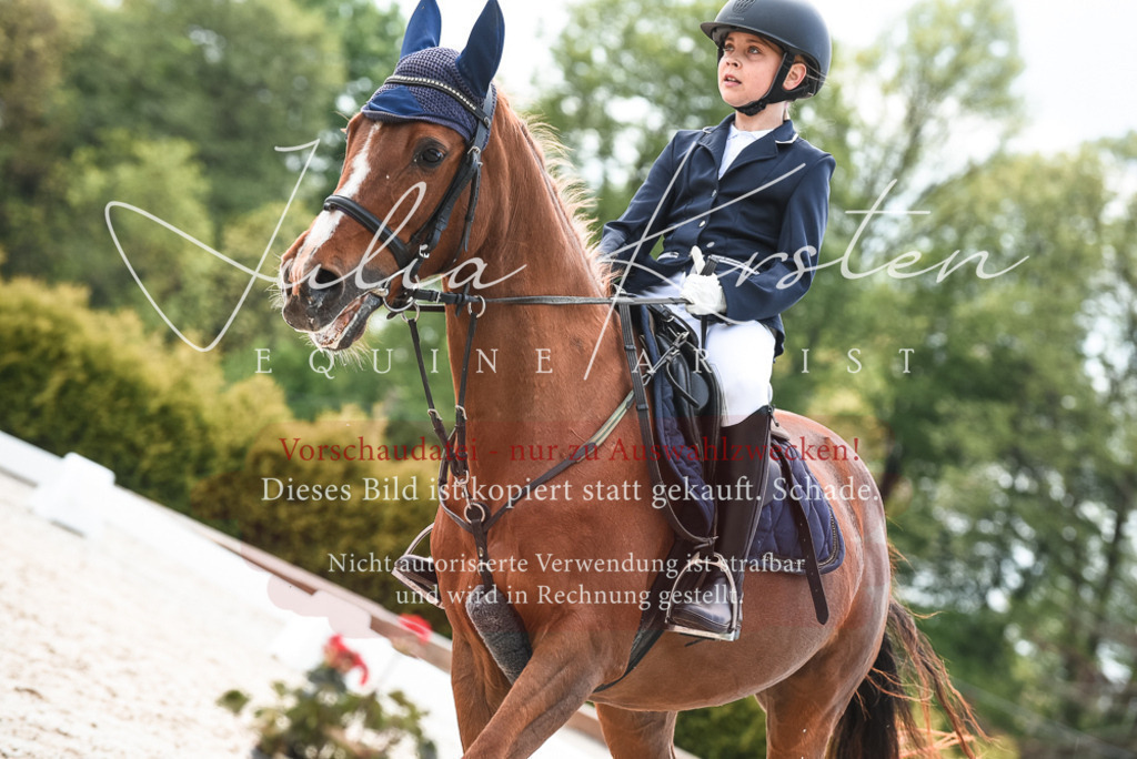 20230518_JK-Röhrsdorf-10-028 | Pferde- und Turnierfotografie in Westsachsen. Pferdeportraits, Auftragszeichnungen und intuitive Kunst.