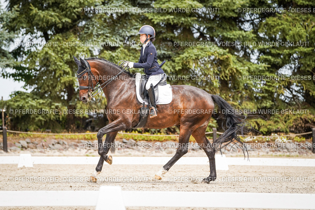 DSC05575 | Pferdegrafie