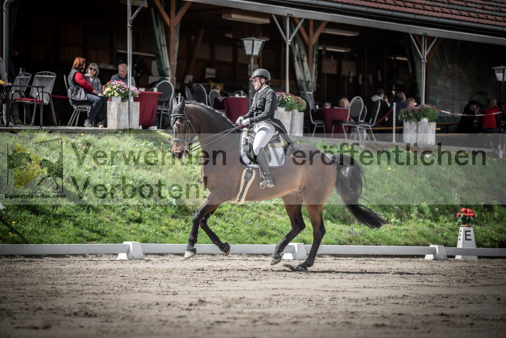 DSC_2975 | equestrian-live-com
