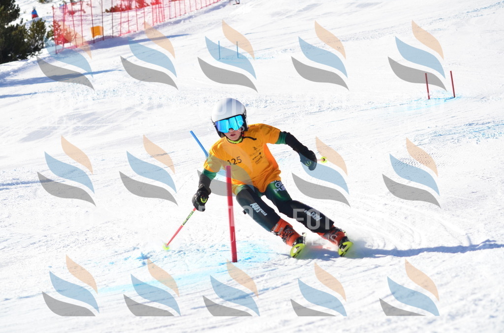 C6391 | holidayphoto