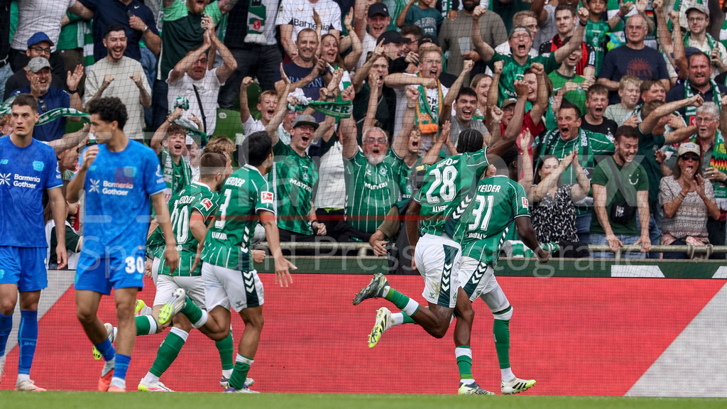 Fussball, Bundesliga, SV Werder Bremen - Bayer 04 Leverkusen | Spieler des SV Werder Bremen mit Torjubel, Jubel, jubeln, jubelt, optimistisch, Spielszene, Highlight, Freude über das Tor zum 3:3, DIE DFL-RICHTLINIEN UNTERSAGEN JEGLICHE NUTZUNG VON FOTOS ALS SEQUENZBILDER UND/ODER VIDEOÄHNLICHE FOTOSTRECKEN. DFL REGULATIONS PROHIBIT ANY USE OF PHOTOGRAPHS AS IMAGE SEQUENCES AND/OR QUASI-VIDEO.