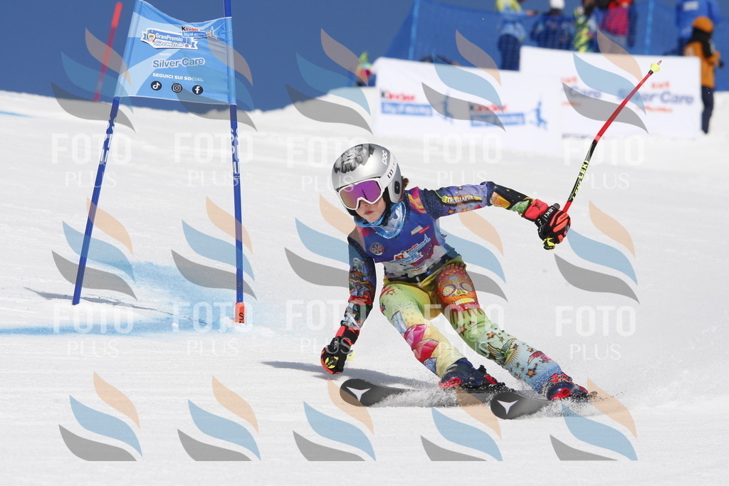 _W1G1545 | holidayphoto