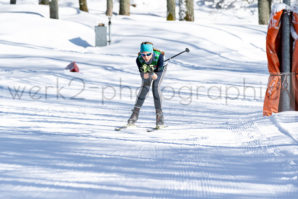 DSC Altenberg | Deutscher Schülercup in Altenberg vom 11. bis zum 13. Februar 2022