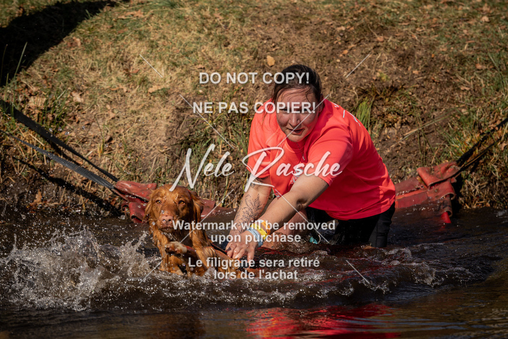 nelerasche_FS1100-1145_393 | nelerasche