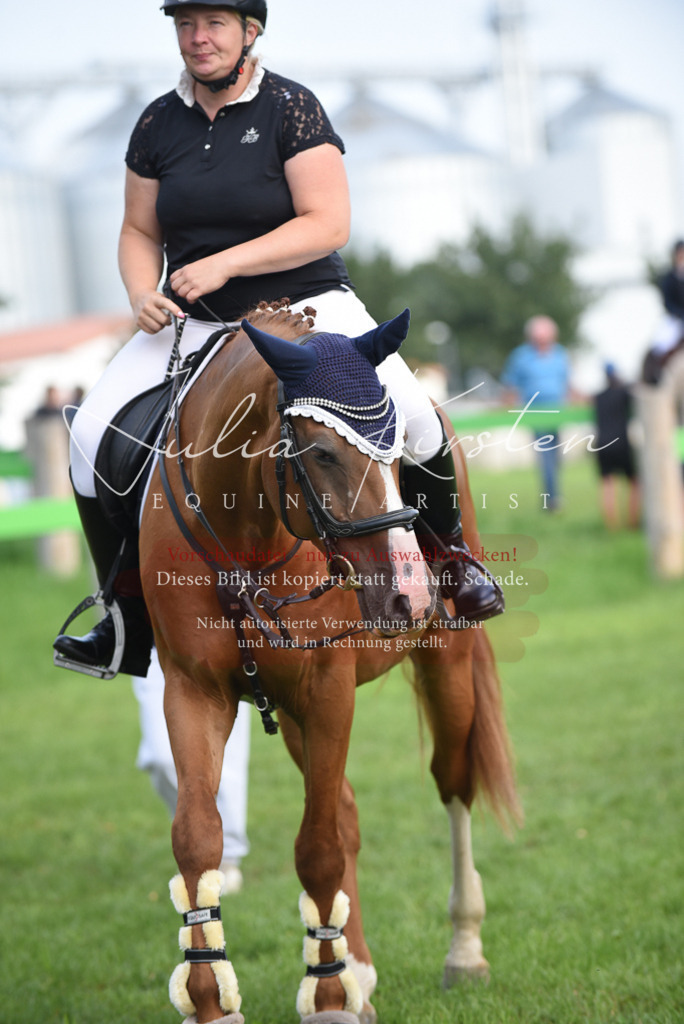 DSC_8593 | Pferde- und Turnierfotografie in Westsachsen. Pferdeportraits, Auftragszeichnungen und intuitive Kunst.