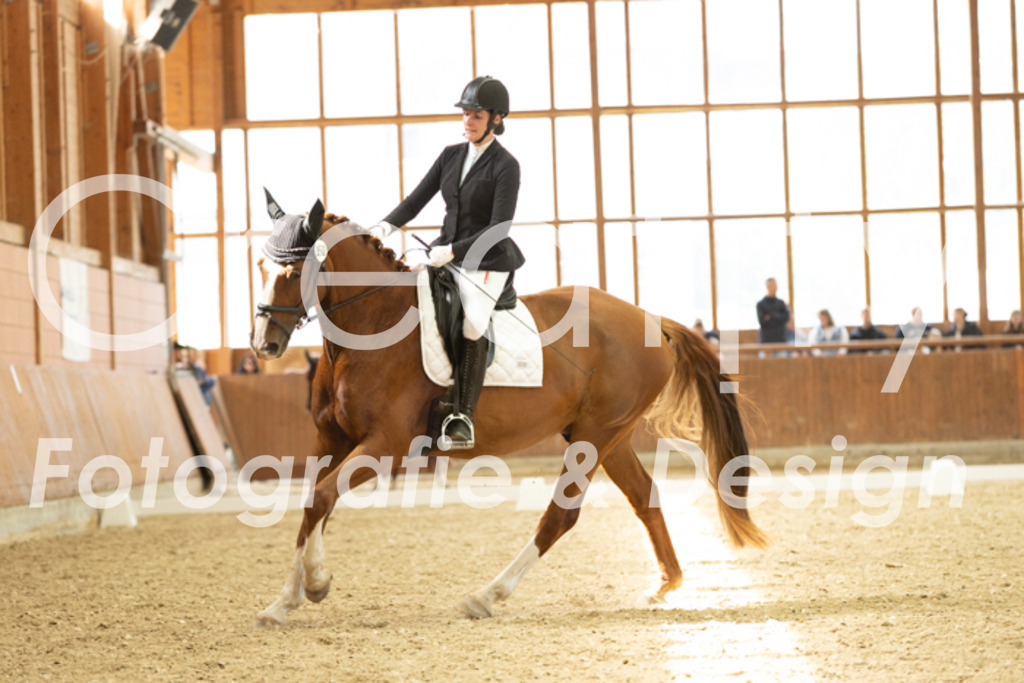 IMG_5823 | Creatify Fotografie