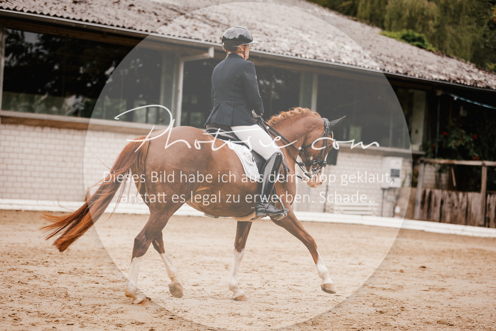 3I6A7785 | Stimmungsvolle Portraits und Reitsportfotografie im Ruhrgebiet und im Münsterland.

Pferdefotografie, Hundefotografie, Tierfotografie, Reportagen, Portraits von Tier und Mensch, Turnierfotografie in Bochum, Recklinghausen, Marl, Haltern am See, Dülmen.. - Realisiert mit Pictrs.com