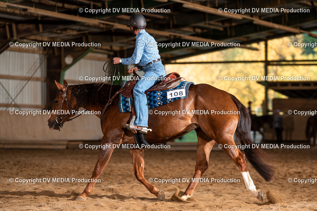 Balingen Tag 1-2250 | dv-media-shop - Realisiert mit Pictrs.com