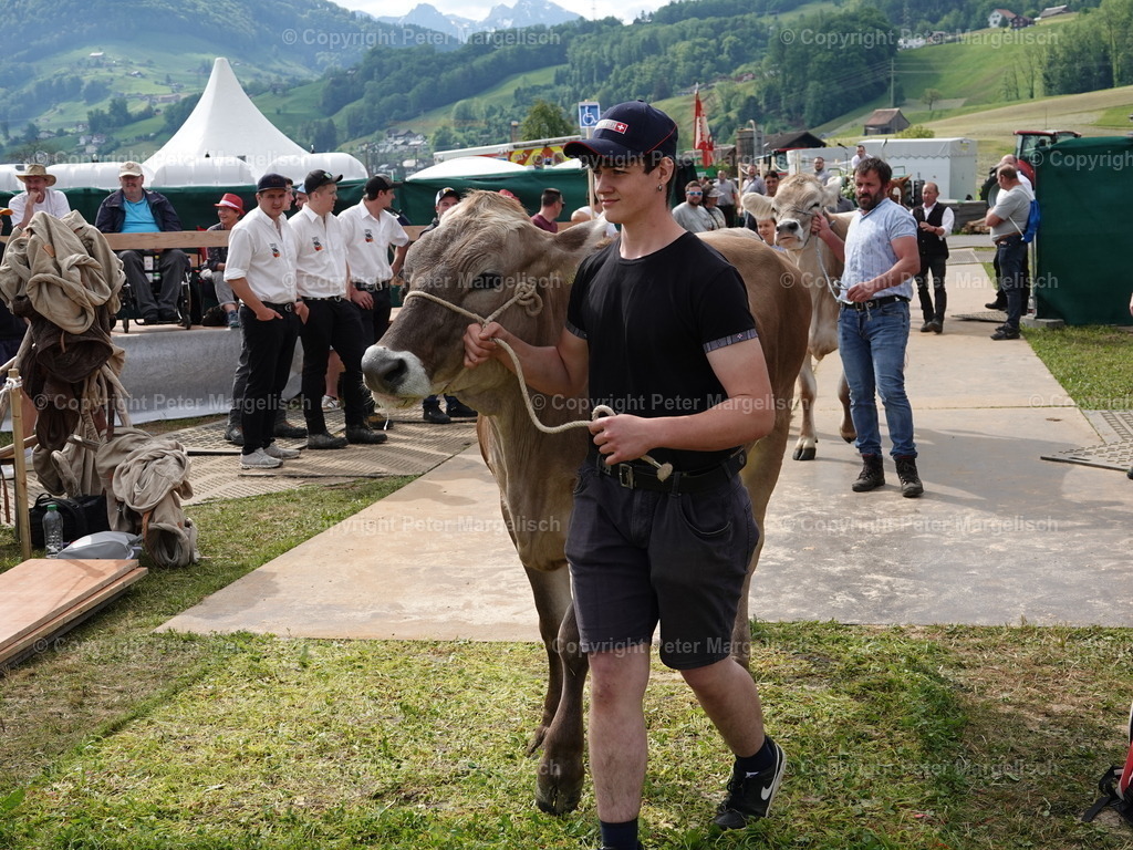 DSC06721 | Schwingen - Realisiert mit Pictrs.com