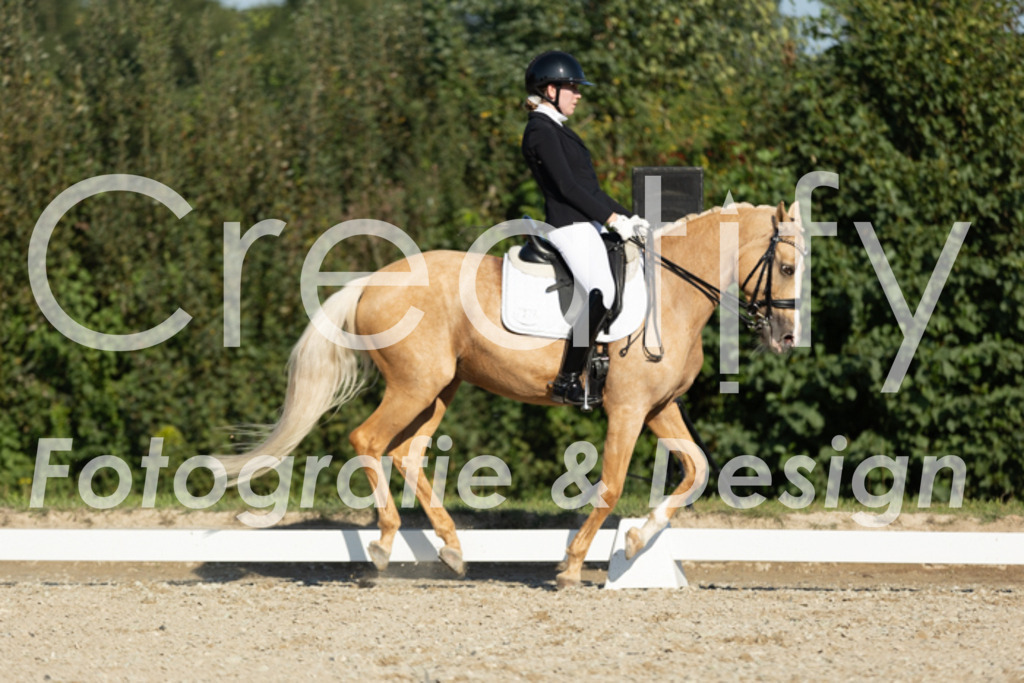 IMG_0981 | Creatify Fotografie