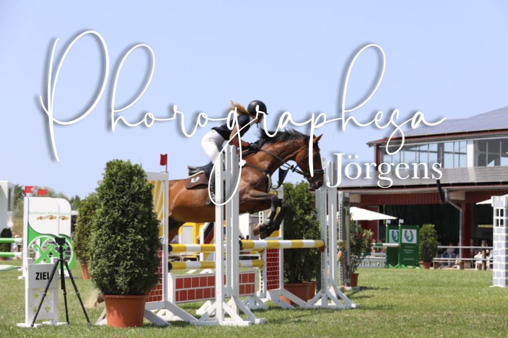 IMG_8653 | photographesa-joergens - Realisiert mit Pictrs.com