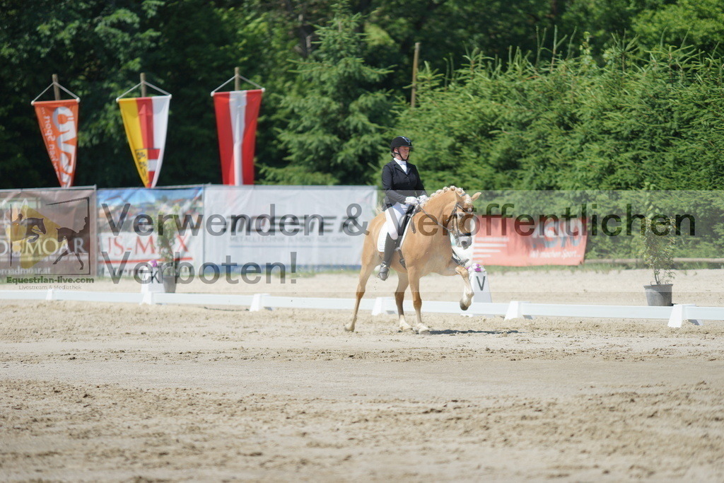 DSC03276 | equestrian-live-com