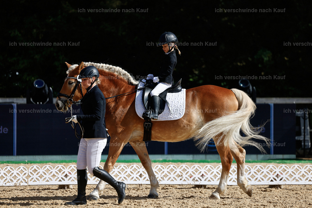 01--Ponyführzügel -StoibPH-6799 | working equitationturnier fotograf videograf stoibphotography marixx film working equitation deutschland reitsport turnierfotografie eventfotografie equestrian events