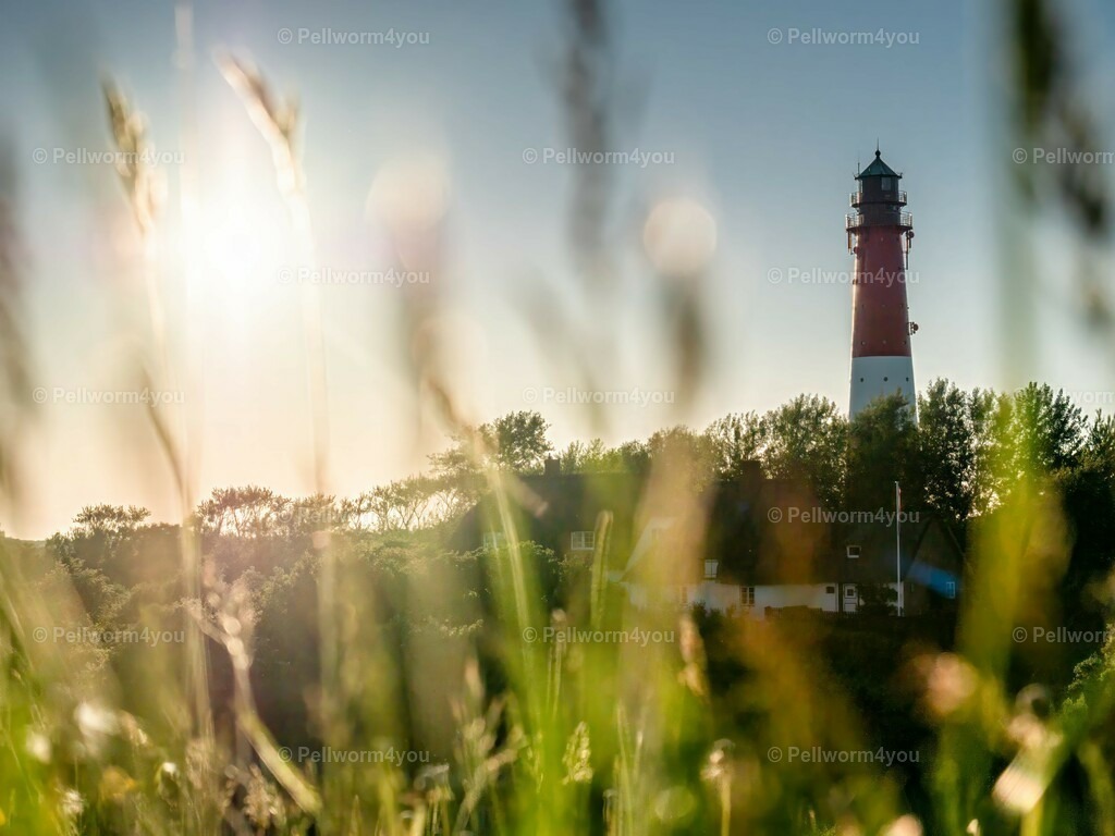 pellworm-kalender-2024-11-denoise-enhance-2x-sharpen | Pellwormer Bilder und Fotos als Poster, auf Leinwand mit Keilrahmen, hinter Acrylglas, auf Alu-Dibond oder Forex-Platte und vieles mehr. Zum verschenken, für die Ferienwohnung oder für zu Hause. - Realisiert mit Pictrs.com