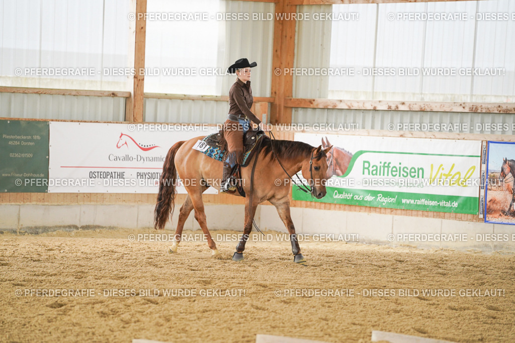 DSC04682 | Pferdegrafie