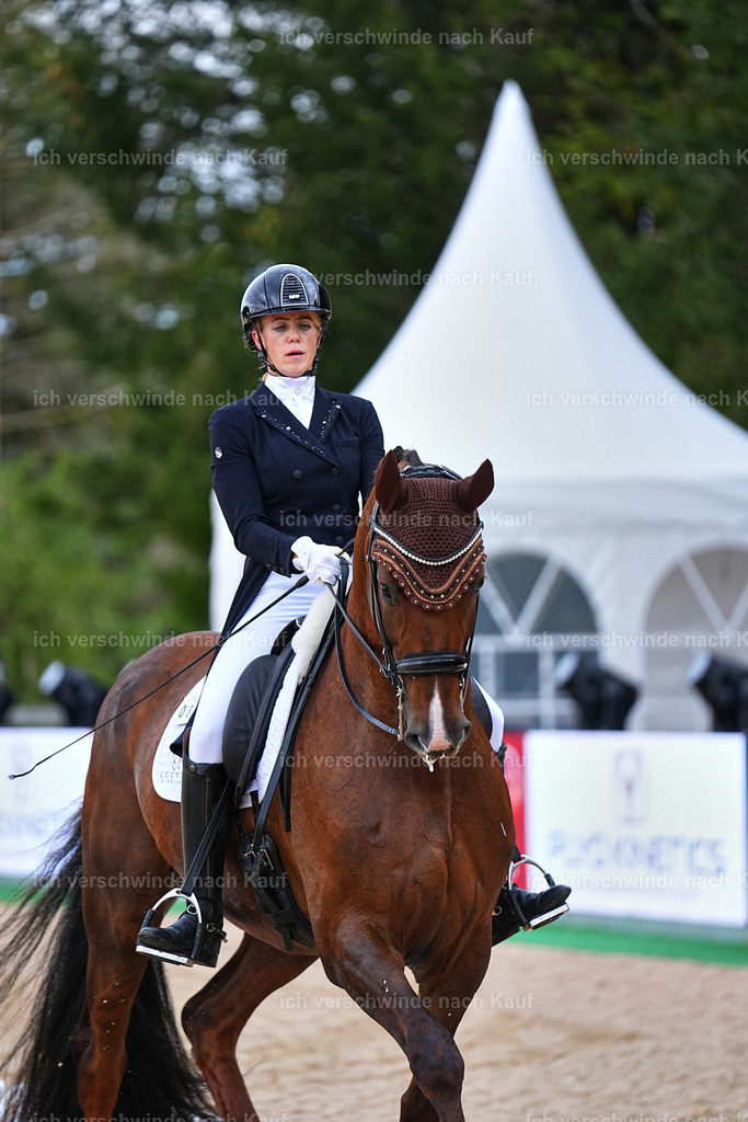 8_1-085-Klasse S_  -Marixx-4089 | working equitationturnier fotograf videograf stoibphotography marixx film working equitation deutschland reitsport turnierfotografie eventfotografie equestrian events