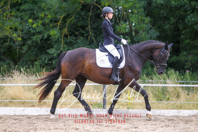 DKP45915 | Turniersportfotografie; Pferdefotografie; Dressurfotografie