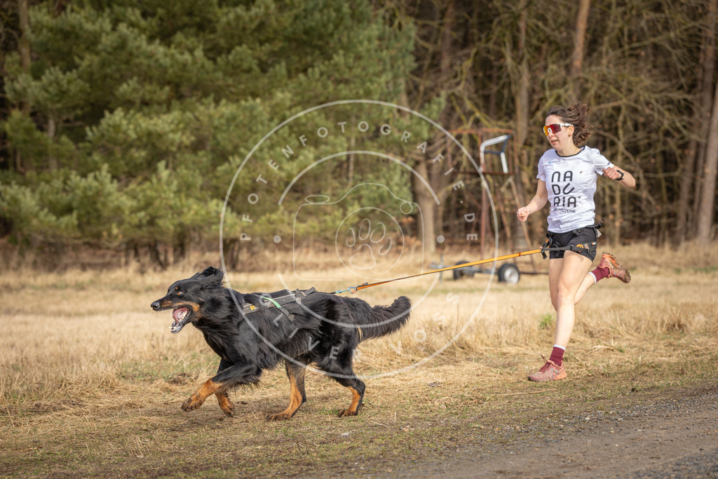 DV3A3639 | Hundefotografie, Tierfotograf, Pfotenfotografie, Fotoshooting Hund, Hunde Portrait, Hundesport, Hundeportraits, Heideshooting, Hunde, Sportfotograf, Hundefotograf, Turnierhundsport, THS,  - Realisiert mit Pictrs.com