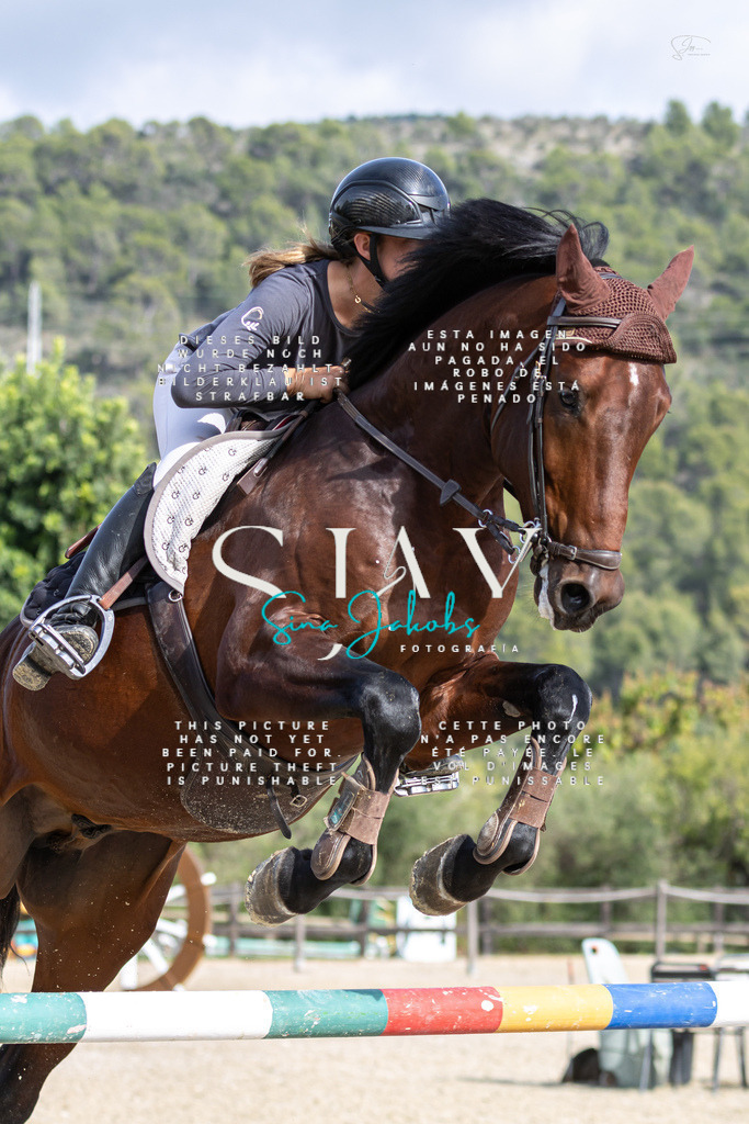 IMG_3742 | s-jay-photography - Realisiert mit Pictrs.com