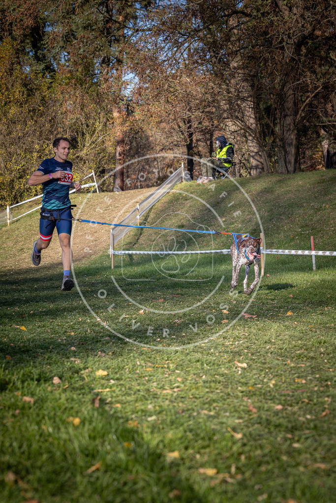 CaniXpix_0L8A8879 | Hundefotografie, Tierfotograf, Pfotenfotografie, Fotoshooting Hund, Hunde Portrait, Hundesport, Hundeportraits, Heideshooting, Hunde, Sportfotograf, Hundefotograf, Turnierhundsport, THS,  - Realisiert mit Pictrs.com